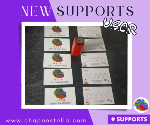 https://chaponstella.com/wp-content/uploads/2024/10/21-600x500.png